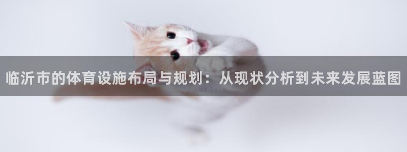 凯捷体育招商电话号码：临沂市的体育设施布局与规划：从