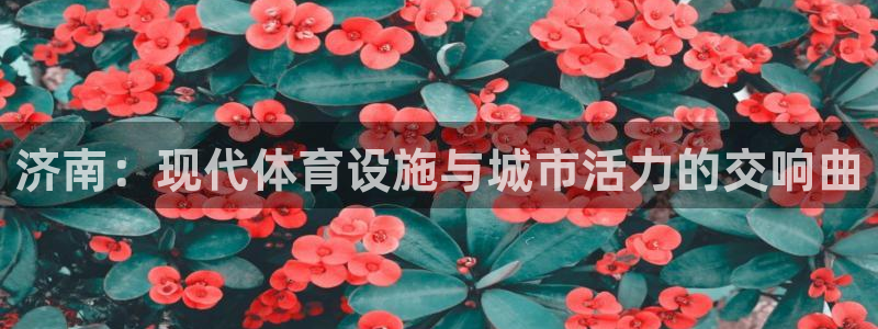 凯捷体育招商电话号码是多少啊：济南：现代体育设施与城市活力的