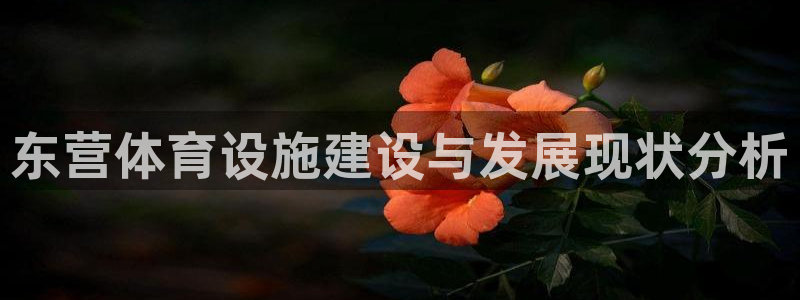 凯捷体育娱乐平台：东营体育设施建设与发展现状分析