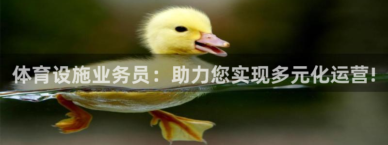 凯捷体育平台注册：体育设施业务员：助力您实现多元化运营!