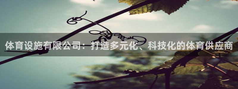 凯捷体育娱乐首页官网下载：体育设施有限公司：打造多元化、科技