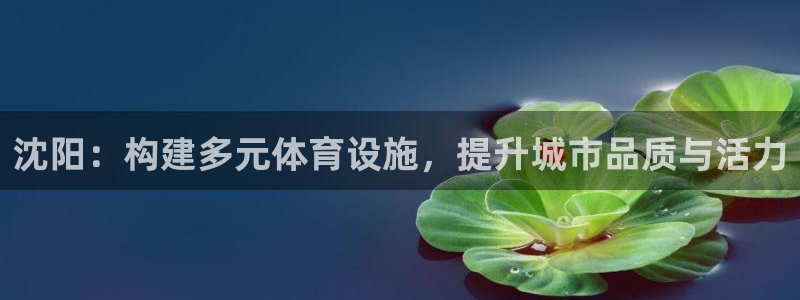 凯捷体育开户：沈阳：构建多元体育设施，提升城市品质与活力