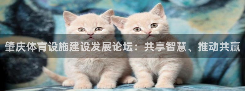 凯捷体育是干嘛的公司：肇庆体育设施建设发展论坛：共享智慧、推 