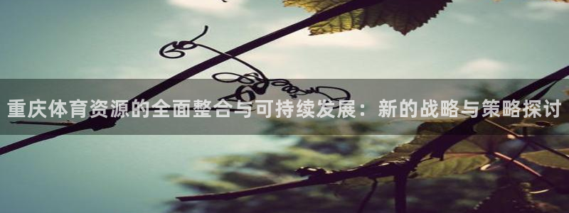 凯捷体育招商电话：重庆体育资源的全面整合与可持续发展：新的战