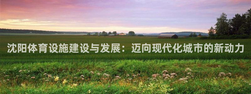 凯捷体育娱乐首页网站大全：沈阳体育设施建设与发展：迈向现代化 